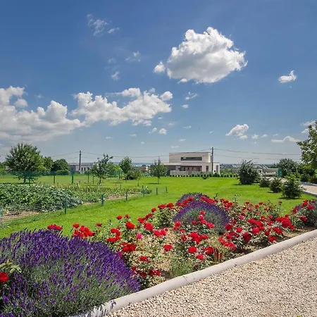 Auf Grossem Gartengrundstueck *